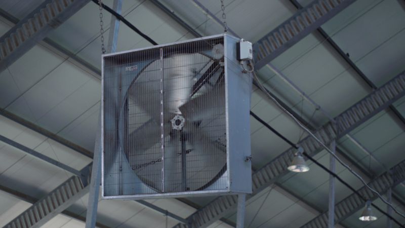 Chandelier Fan Repair in Denver County, CO