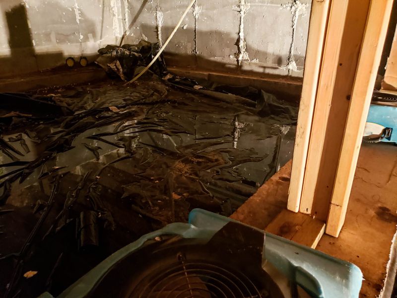 Basement Dehumidifier Service in Naples, FL