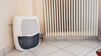 Dehumidifier Installation in Annapolis, MD